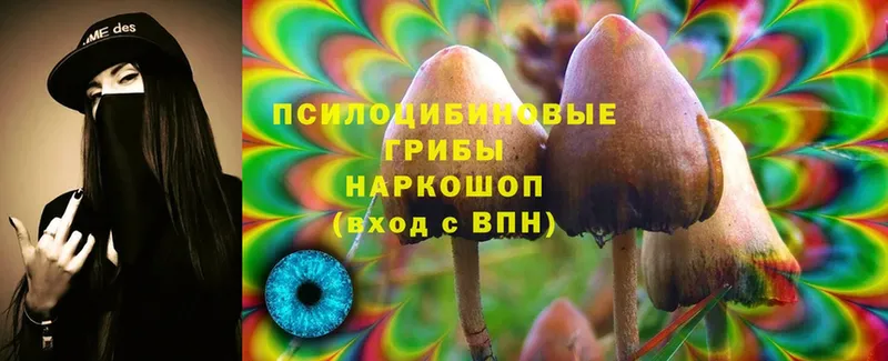 Псилоцибиновые грибы Magic Shrooms  Ессентуки 